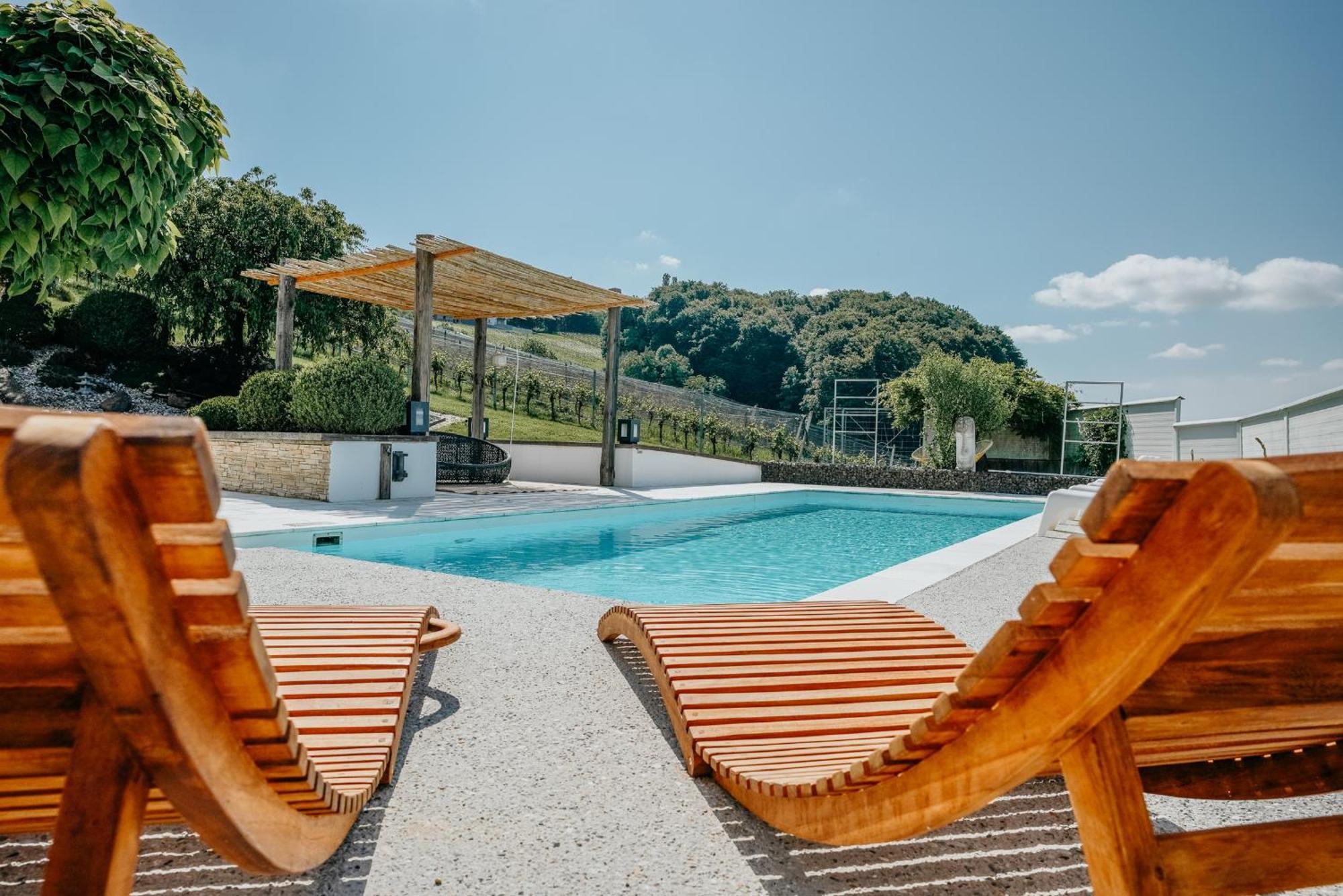 Weingut Holler Chalet Weingarten Spielfeld Ngoại thất bức ảnh